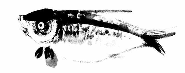 chinese master paintings aquac art q027 A4 Photo Print