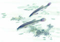 chinese master paintings aquac art q044 A4 Photo Print