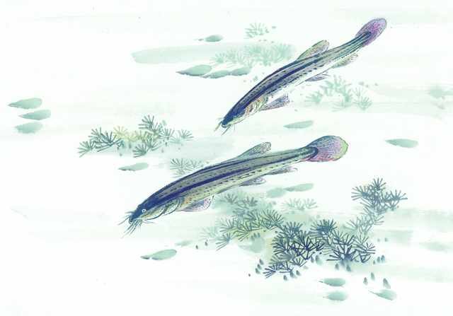 chinese master paintings aquac art q044 A4 Photo Print