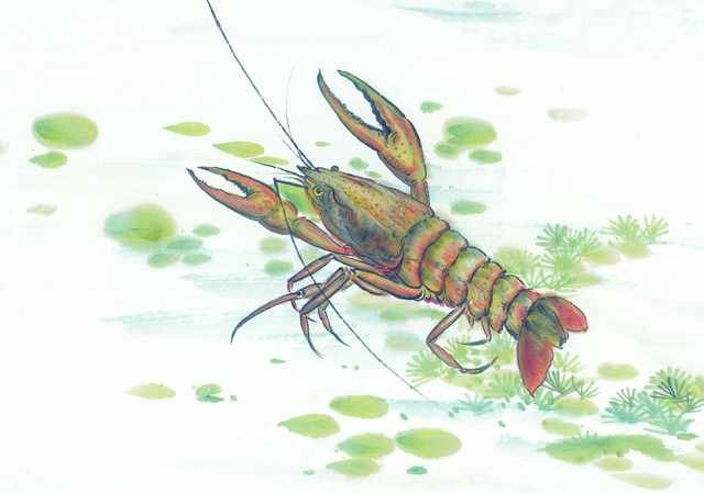 chinese master paintings aquac art q045 A4 Photo Print
