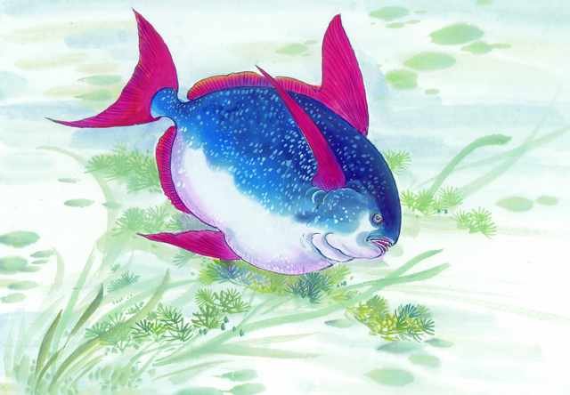 chinese master paintings aquac art q058 A4 Photo Print
