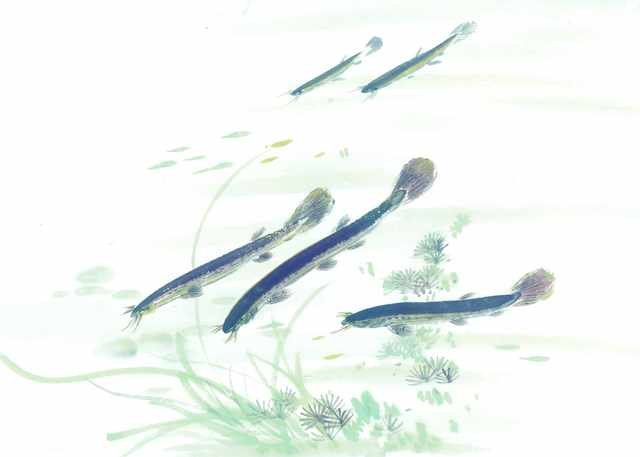 chinese master paintings aquac art q059 A4 Photo Print