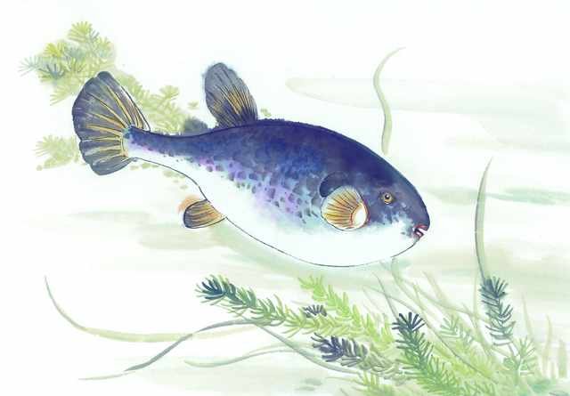 chinese master paintings aquac art q061 A4 Photo Print