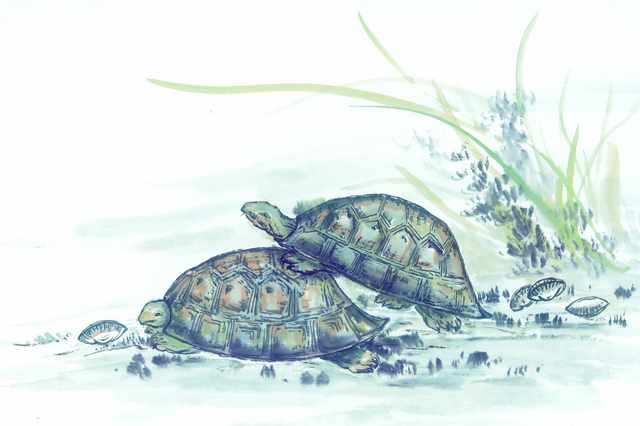 chinese master paintings aquac art q076 A4 Photo Print