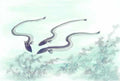 chinese master paintings aquac art q079 A4 Photo Print