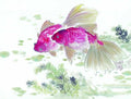chinese master paintings aquac art q080 A4 Photo Print