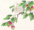 chinese master paintings birds floral c art b0101 A4 Photo Print