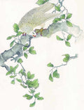 chinese master paintings birds floral c art b0102 A4 Photo Print
