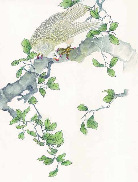 chinese master paintings birds floral c art b0102 A4 Photo Print