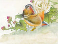 chinese master paintings birds floral c art b0108 A4 Photo Print