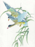 chinese master paintings birds floral c art b0109 A4 Photo Print