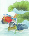 chinese master paintings birds floral c art b0110 A4 Photo Print