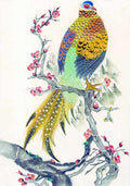 chinese master paintings birds floral c art b0112 A4 Photo Print