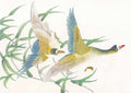 chinese master paintings birds floral c art b0113 A4 Photo Print