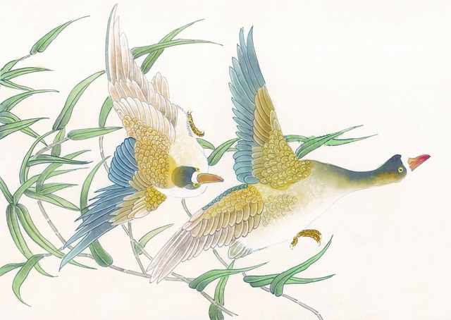 chinese master paintings birds floral c art b0113 A4 Photo Print
