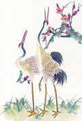 chinese master paintings birds floral c art b0114 A4 Photo Print