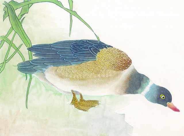 chinese master paintings birds floral c art b0115 A4 Photo Print