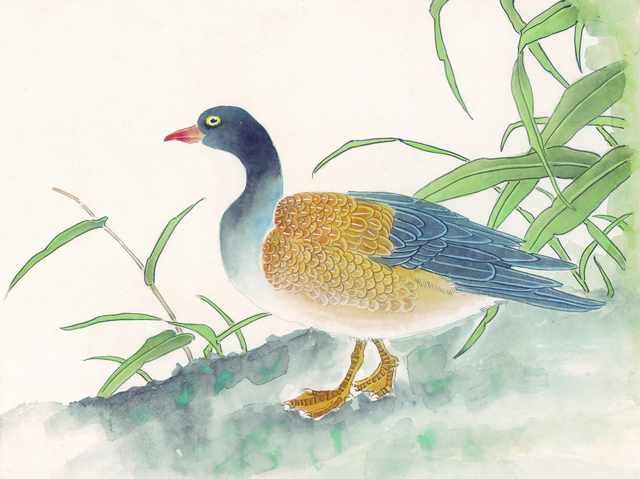 chinese master paintings birds floral c art b0116 A4 Photo Print