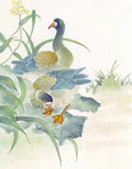 chinese master paintings birds floral c art b0117 A4 Photo Print