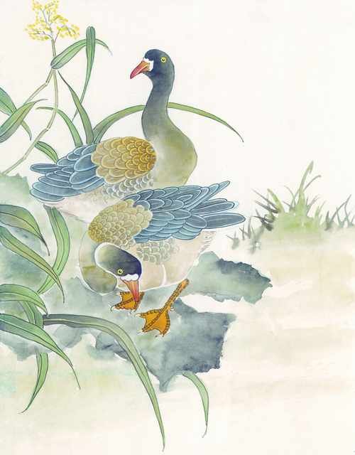 chinese master paintings birds floral c art b0117 A4 Photo Print