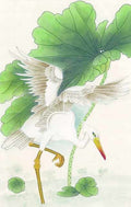 chinese master paintings birds floral c art b0119 A4 Photo Print