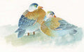 chinese master paintings birds floral c art b0123 A4 Photo Print