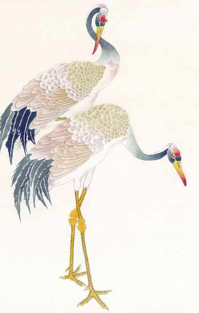 chinese master paintings birds floral c art b0125 A4 Photo Print