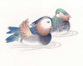 chinese master paintings birds floral c art b0127 A4 Photo Print