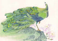 chinese master paintings birds floral c art b0130 A4 Photo Print