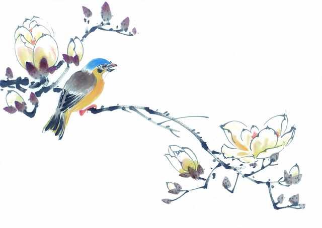 chinese master paintings birds floral c art b0134 A4 Photo Print