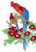 chinese master paintings birds floral c art b0137 A4 Photo Print