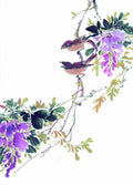 chinese master paintings birds floral c art b0138 A4 Photo Print