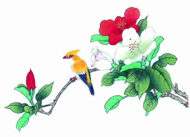 chinese master paintings birds floral c art b0142 A4 Photo Print