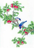 chinese master paintings birds floral c art b0147 A4 Photo Print