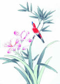 chinese master paintings birds floral c art b0148 A4 Photo Print