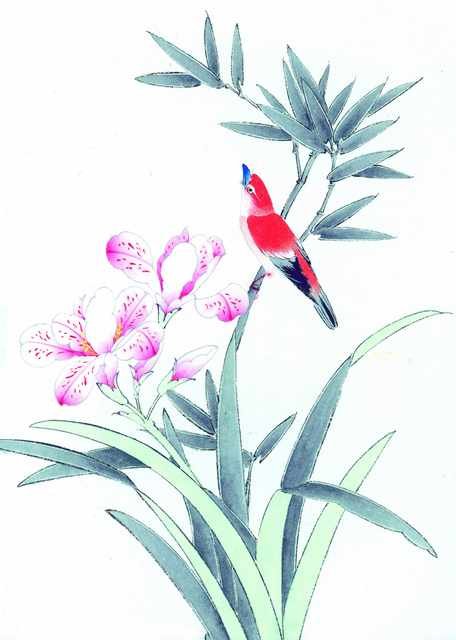 chinese master paintings birds floral c art b0148 A4 Photo Print