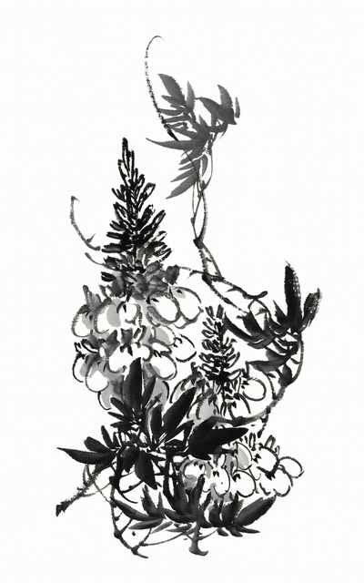 chinese master paintings birds floral c art b015 A4 Photo Print