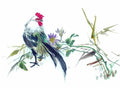 chinese master paintings birds floral c art b0154 A4 Photo Print
