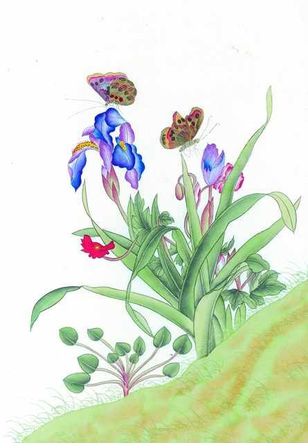 chinese master paintings birds floral c art b0158 A4 Photo Print