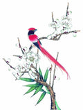 chinese master paintings birds floral c art b0171 A4 Photo Print