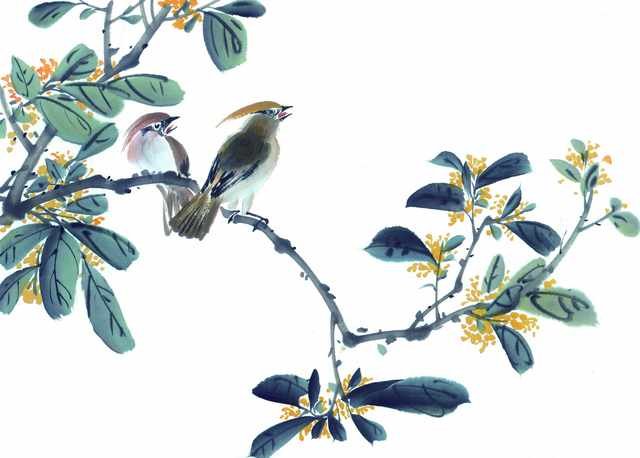 chinese master paintings birds floral c art b0173 A4 Photo Print