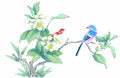 chinese master paintings birds floral c art b0178 A4 Photo Print