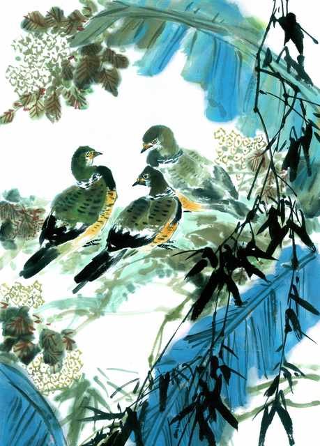 chinese master paintings birds floral c art b0181 A4 Photo Print