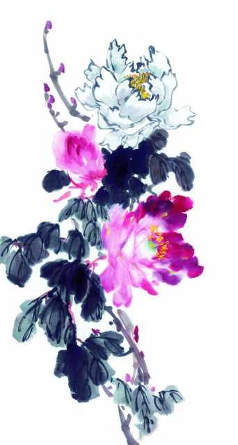 chinese master paintings birds floral c art b0186 A4 Photo Print
