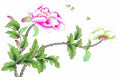 chinese master paintings birds floral c art b0187 A4 Photo Print