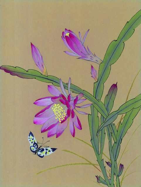 chinese master paintings birds floral c art b0189 A4 Photo Print
