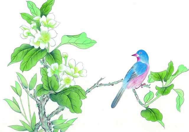 chinese master paintings birds floral c art b0190 A4 Photo Print
