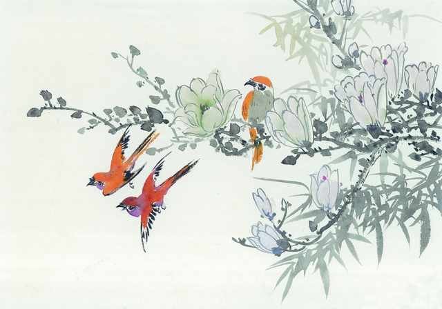 chinese master paintings birds floral c art b0192 A4 Photo Print