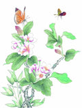 chinese master paintings birds floral c art b0193 A4 Photo Print