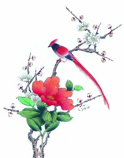 chinese master paintings birds floral c art b0198 A4 Photo Print